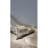Vase de lave glace OPEL ZAFIRA A PHASE 2 d’occasion