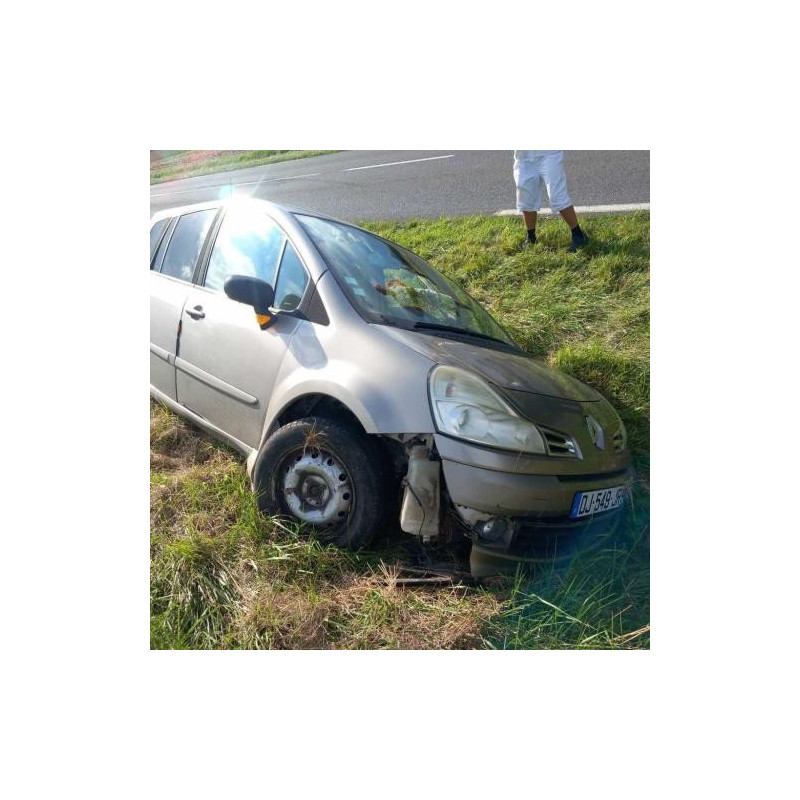 Capot RENAULT GRAND MODUS PHASE 2 d’occasion