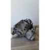 Boite de vitesses CITROEN XSARA PICASSO PHASE 1 d’occasion