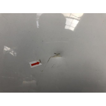 Porte arriere gauche RENAULT CLIO 4 PHASE 2 d’occasion
