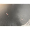 Porte avant gauche OPEL MERIVA B PHASE 1 d’occasion