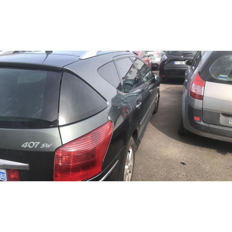 Custode avant gauche PEUGEOT 407 PHASE 1 BREAK d’occasion