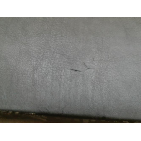 Panneau de porte avant droit BMW X5 E53 d’occasion