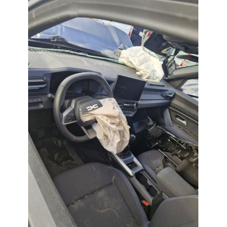 Panneau de porte arriere gauche DACIA DUSTER 3 d’occasion