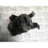 Anti brouillard droit (feux) AUDI A4 2 PHASE 1 d’occasion