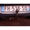 Boitier BSI RENAULT CLIO 2 CAMPUS PHASE 1 d’occasion