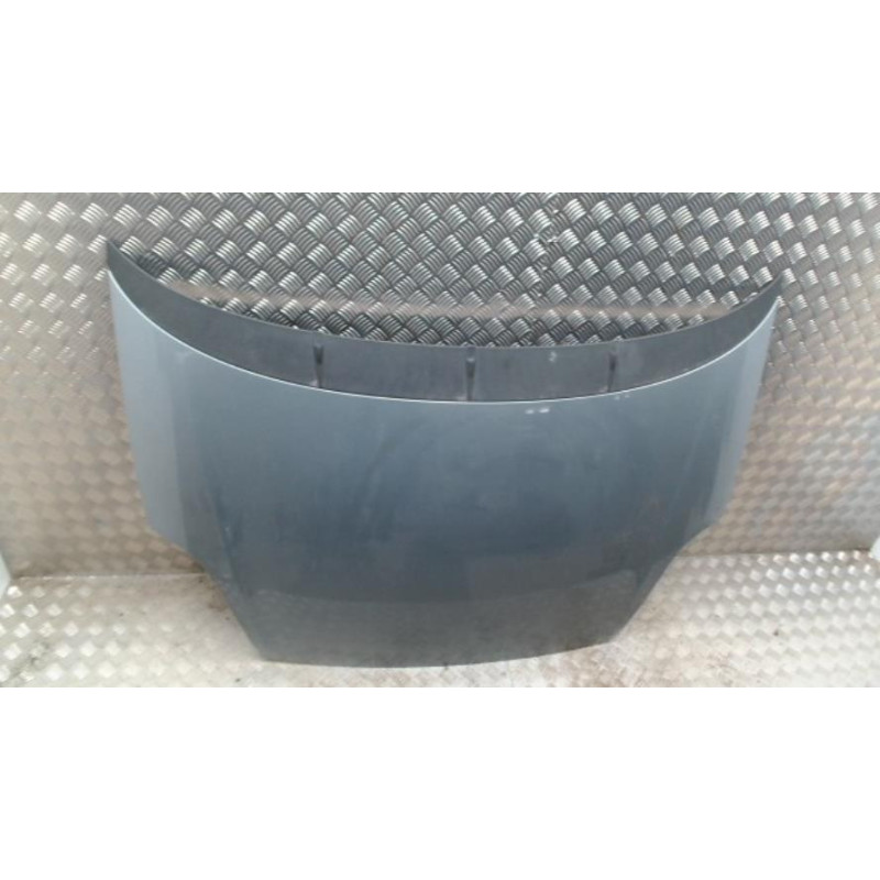 Capot FIAT GRANDE PUNTO d’occasion