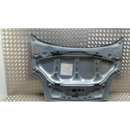 Capot FIAT GRANDE PUNTO d’occasion