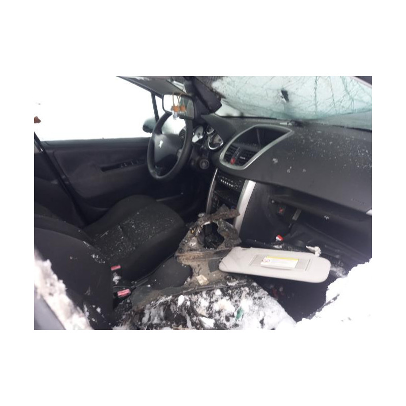 Moto ventilateur radiateur PEUGEOT 207 PHASE 1 d’occasion
