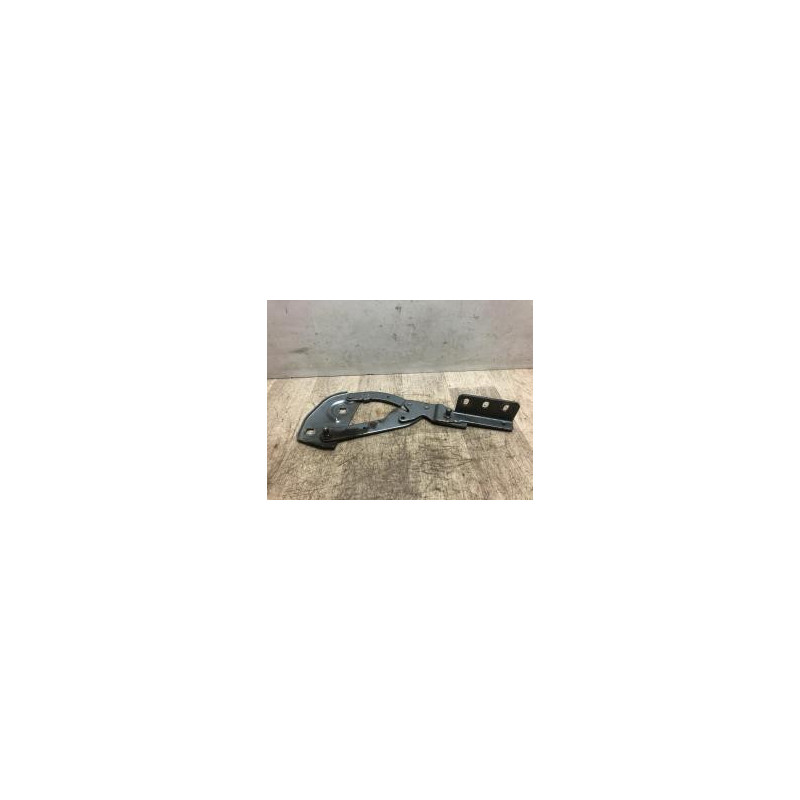 Charniere de capot PEUGEOT 406 COUPE d’occasion