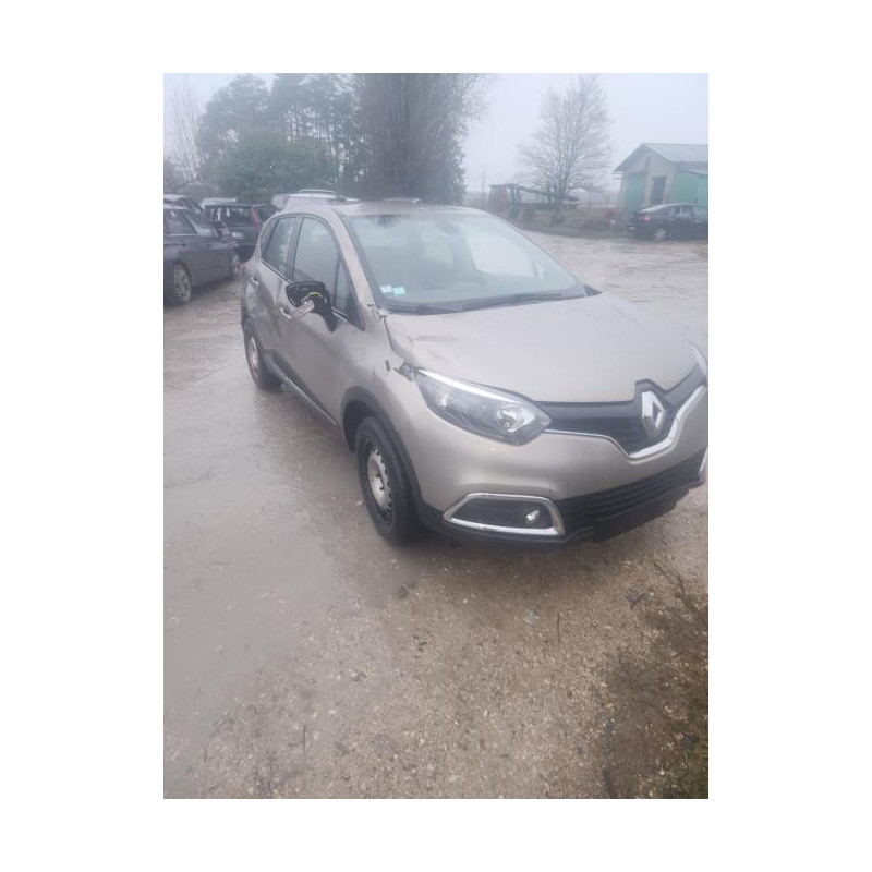 Panneau de porte arriere gauche RENAULT CAPTUR 1 PHASE 1 d’occasion