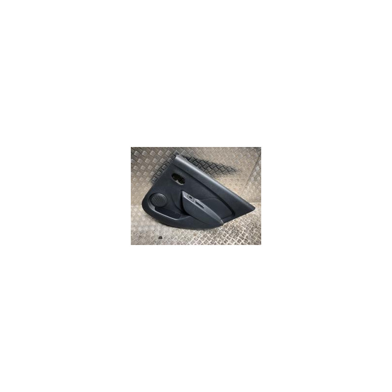 Panneau de porte arriere droit DACIA SANDERO 2 PHASE 2 d’occasion