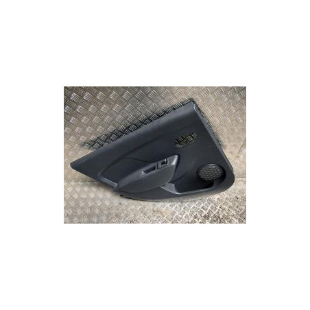 Panneau de porte arriere gauche DACIA SANDERO 2 PHASE 2 d’occasion