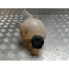 Vase d'expansion CITROEN C3 3 PHASE 1 d’occasion