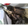 Capteur aide au stationnement CITROEN C3 1 PHASE 1 d’occasion