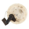 Pompe immergee IVECO  d’occasion