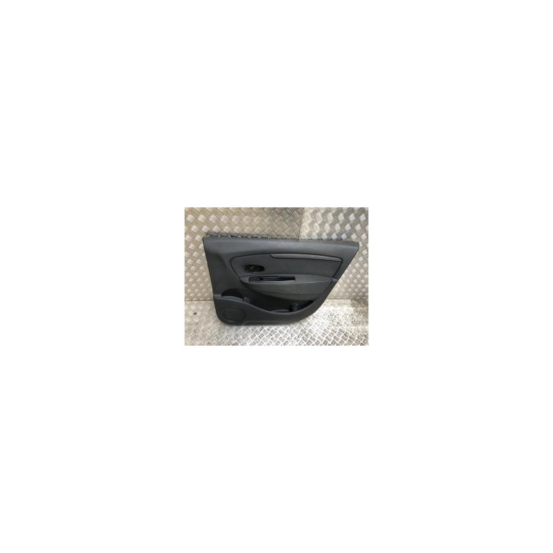 Panneau de porte avant droit RENAULT SCENIC 3 PHASE 1 d’occasion