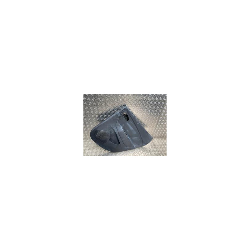 Panneau de porte arriere droit RENAULT CAPTUR 1 PHASE 1 d’occasion
