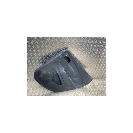 Panneau de porte arriere droit RENAULT CAPTUR 1 PHASE 1 d’occasion