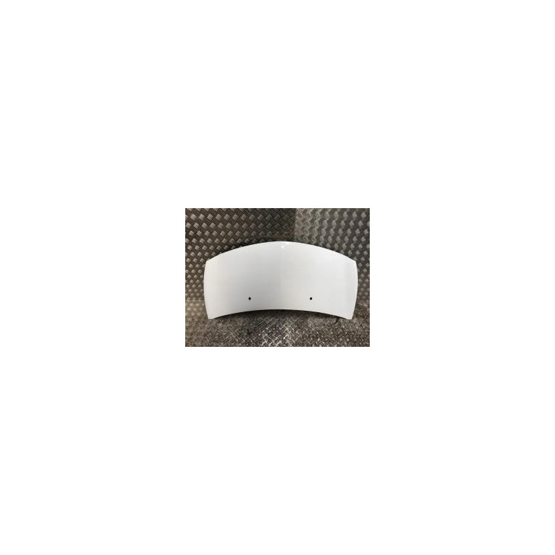 Capot RENAULT CLIO 3 PHASE 2 d’occasion