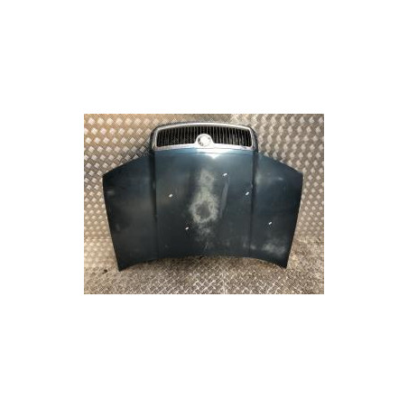 Capot SKODA FABIA 1 PHASE 1 d’occasion