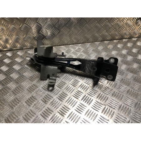 Charniere de capot RENAULT SCENIC 3 PHASE 3 d’occasion