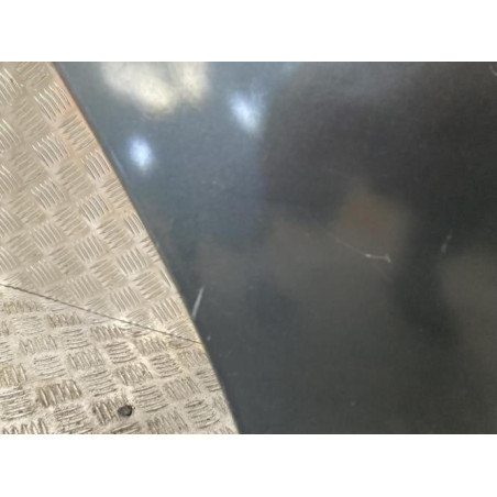 Porte arriere droit DACIA SANDERO 1 d’occasion