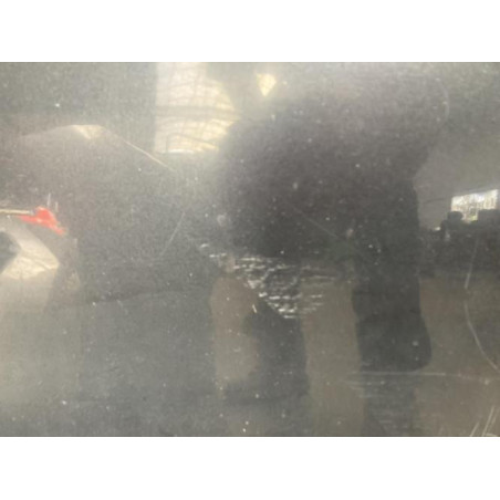 Porte avant droit DACIA SANDERO 1 d’occasion