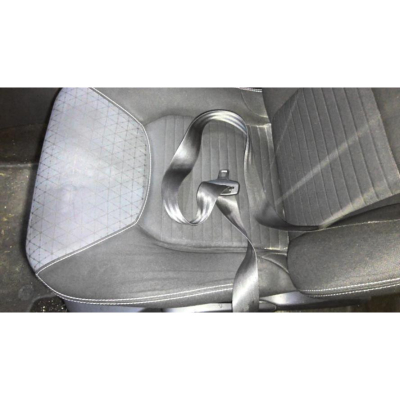 Panneau de porte arriere gauche RENAULT CLIO 4 PHASE 1 d’occasion