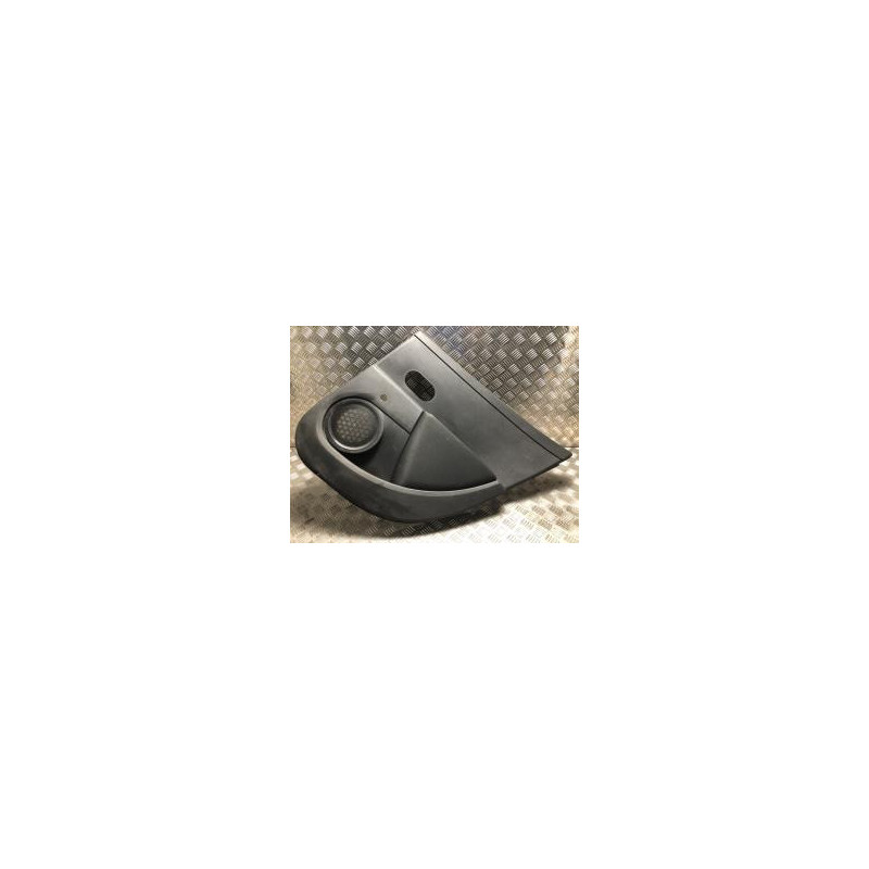 Panneau de porte arriere droit RENAULT CLIO 3 PHASE 2 d’occasion