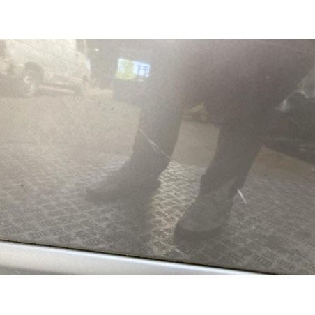 Porte avant gauche RENAULT CLIO 3 PHASE 2 d’occasion