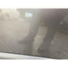 Porte avant gauche RENAULT CLIO 3 PHASE 2 d’occasion