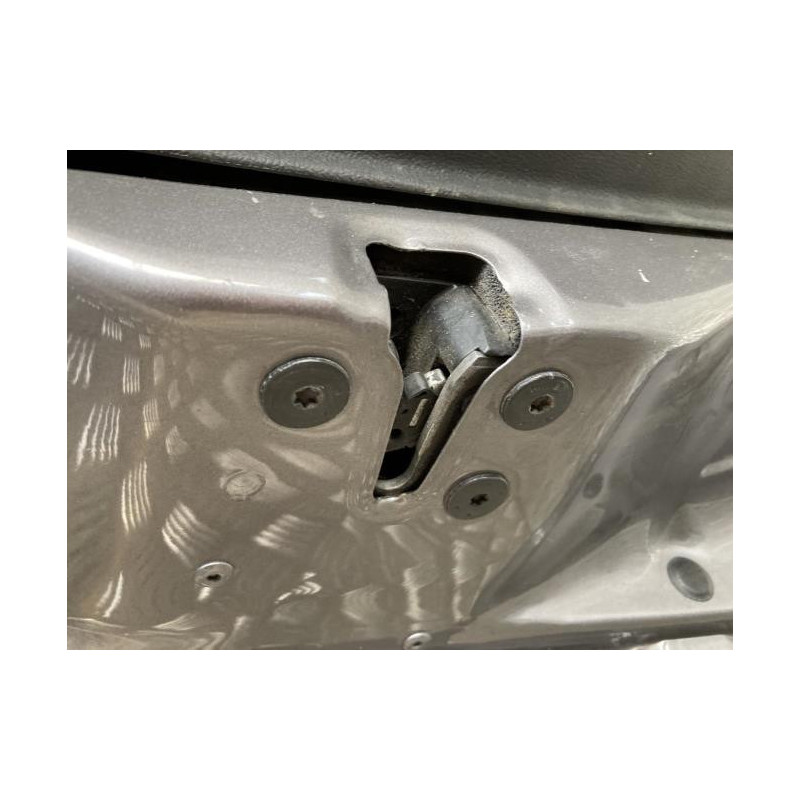 Porte avant gauche RENAULT CLIO 3 PHASE 2 d’occasion