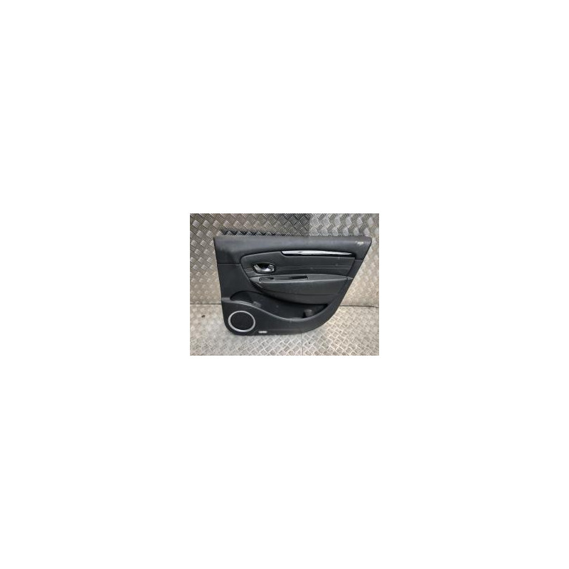 Panneau de porte avant droit RENAULT SCENIC 3 PHASE 1 d’occasion