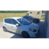 Panneau de porte avant droit RENAULT SCENIC 3 PHASE 1 d’occasion