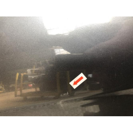 Porte avant gauche CITROEN C3 2 PHASE 1 d’occasion