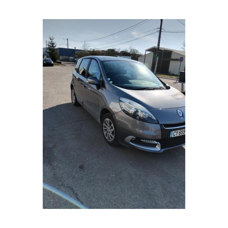 Porte avant gauche RENAULT SCENIC 3 PHASE 2 d’occasion