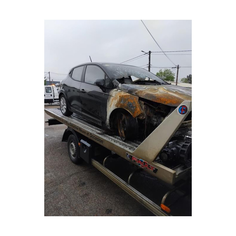 Panneau de porte arriere gauche RENAULT CLIO 5 PHASE 1 d’occasion