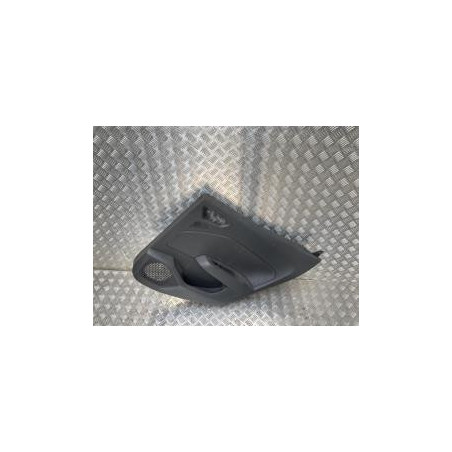 Panneau de porte arriere droit RENAULT CLIO 5 PHASE 1 d’occasion