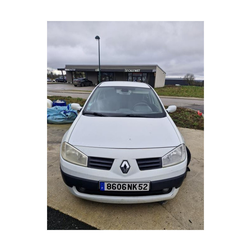 Panneau de porte avant gauche RENAULT MEGANE 2 PHASE 2 d’occasion