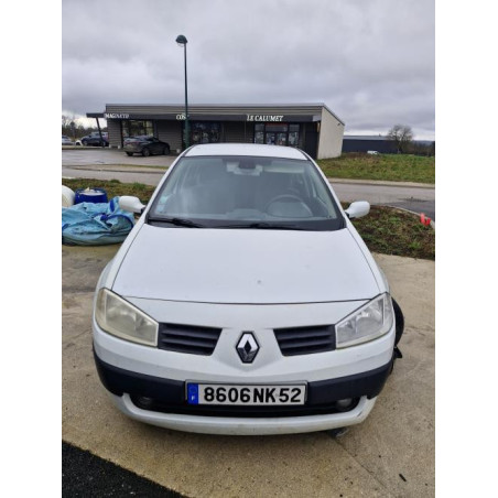 Panneau de porte avant gauche RENAULT MEGANE 2 PHASE 2 d’occasion