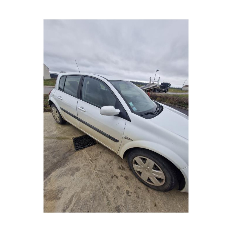 Panneau de porte avant gauche RENAULT MEGANE 2 PHASE 2 d’occasion