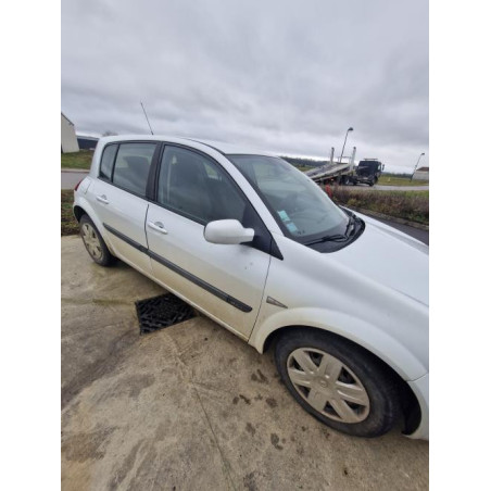 Panneau de porte avant gauche RENAULT MEGANE 2 PHASE 2 d’occasion