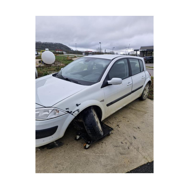 Panneau de porte avant gauche RENAULT MEGANE 2 PHASE 2 d’occasion