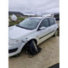 Panneau de porte avant gauche RENAULT MEGANE 2 PHASE 2 d’occasion