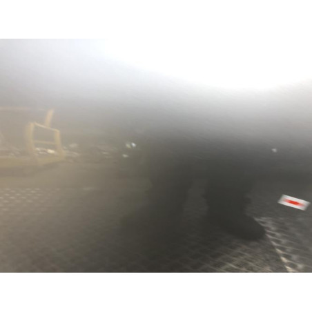 Porte arriere droit RENAULT CLIO 5 PHASE 1 d’occasion
