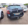 Panneau de porte arriere droit RENAULT LAGUNA 3 PHASE 1 BREAK d’occasion