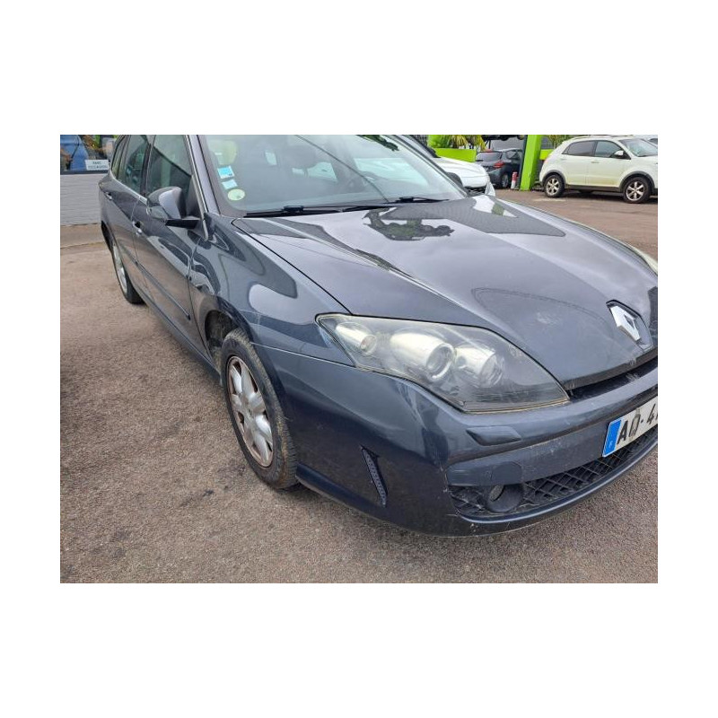 Panneau de porte arriere droit RENAULT LAGUNA 3 PHASE 1 BREAK d’occasion