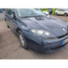 Panneau de porte arriere droit RENAULT LAGUNA 3 PHASE 1 BREAK d’occasion