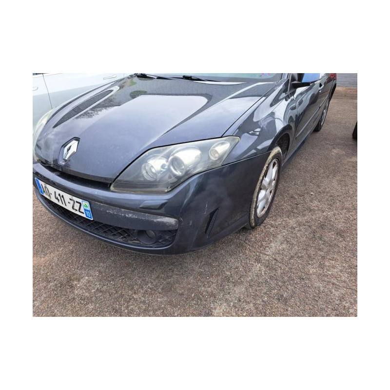 Panneau de porte arriere droit RENAULT LAGUNA 3 PHASE 1 BREAK d’occasion